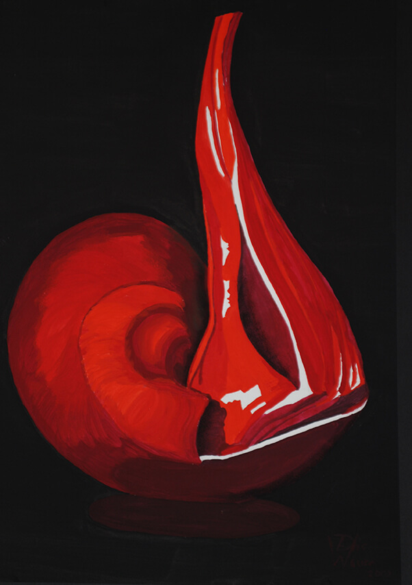 3 schelp 2 loes wouda das